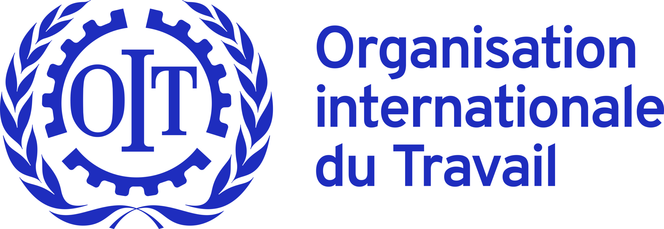Organisation internationale du Travail (OIT)