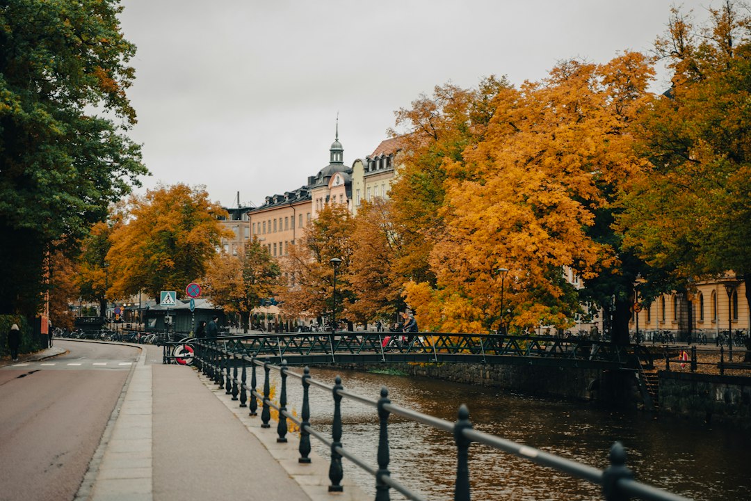 Vue de la ville d’Uppsala en Suède, illustration des bourses Global et Anders Wall