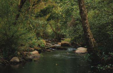 Paysage fluvial, illustration des études environnementales
