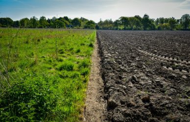 Champ agricole illustrant l’étude des sols et du changement global